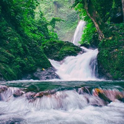 一梦江湖金立渠道服下载