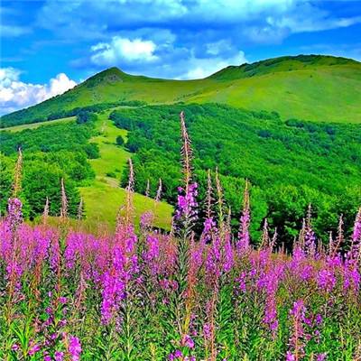山海苍穹传官方版